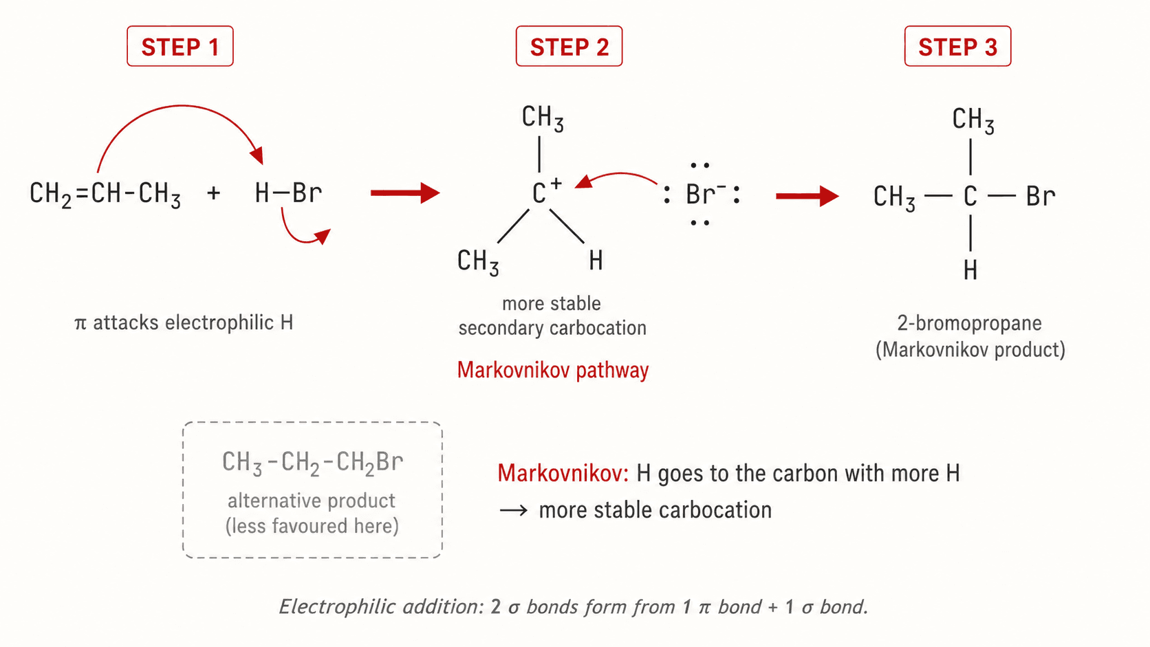 Mécanisme d'addition électrophile sur un alcène