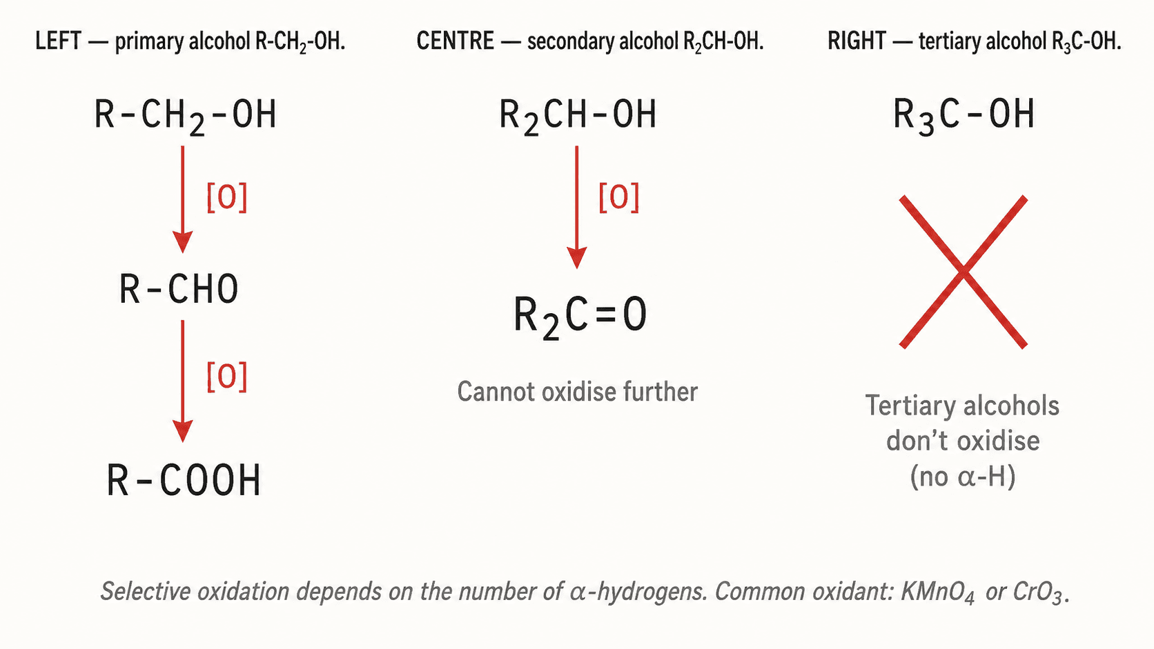 Voie d'oxydation des alcools primaires et secondaires