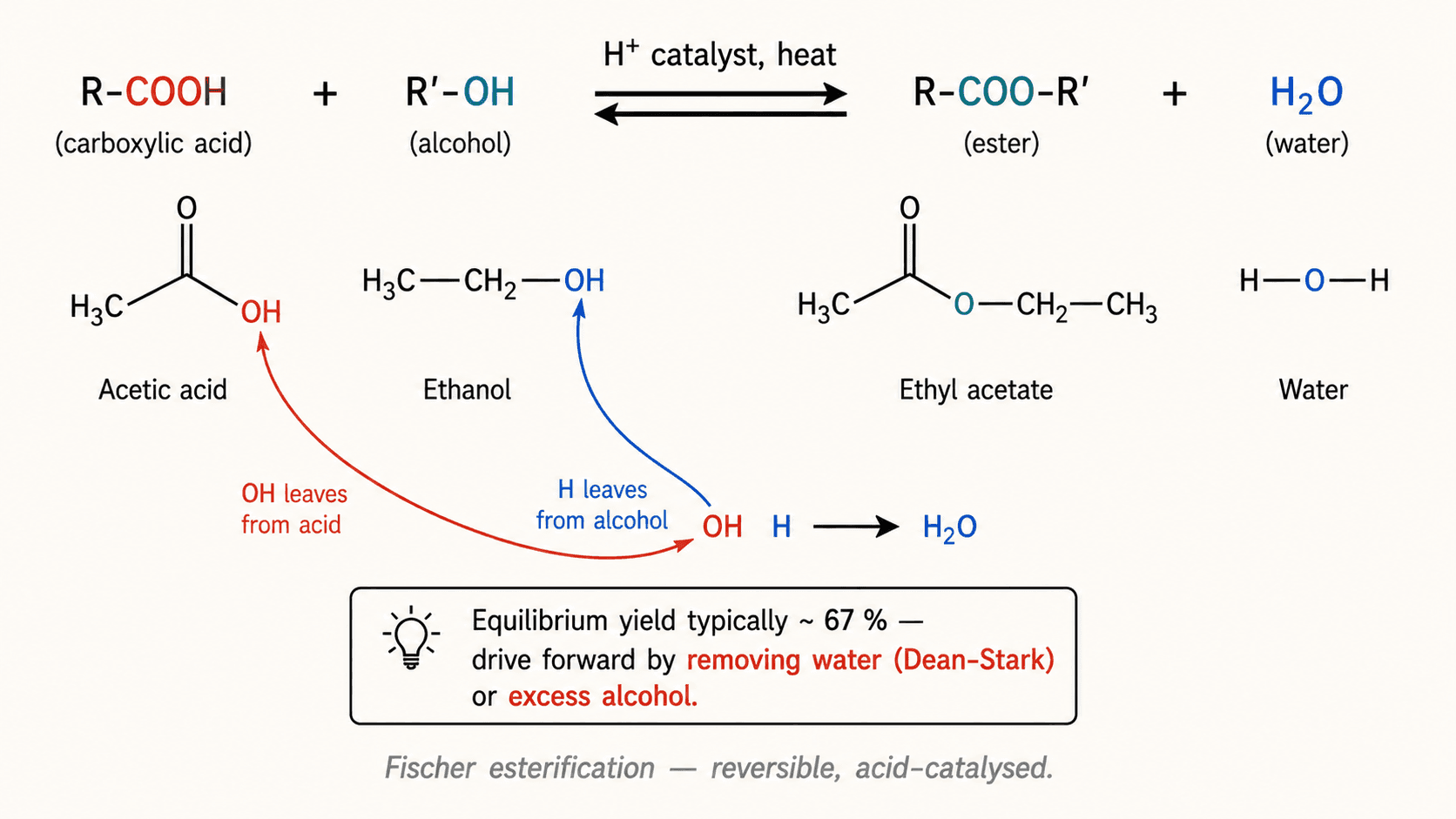 Équilibre estérification / hydrolyse