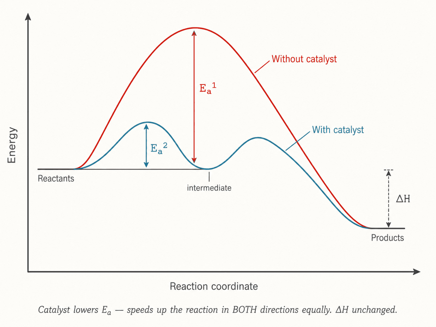 Energy profile with and without catalyst — lowering activation energy