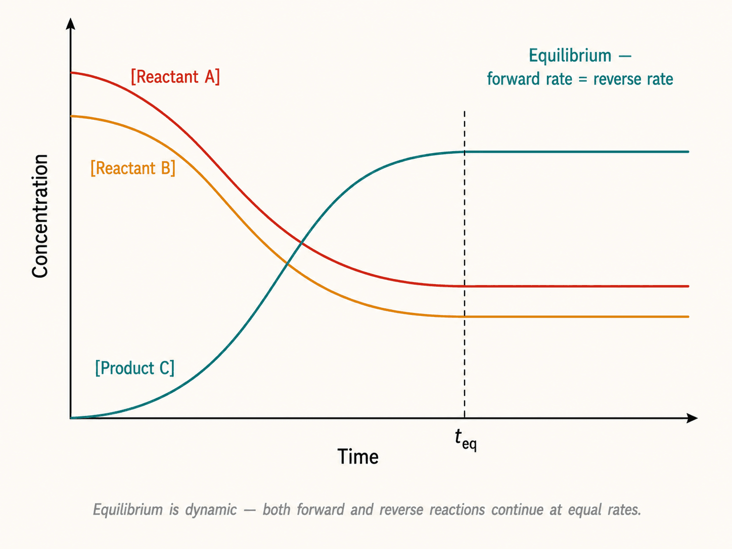 Concentration-time profile: evolution towards equilibrium