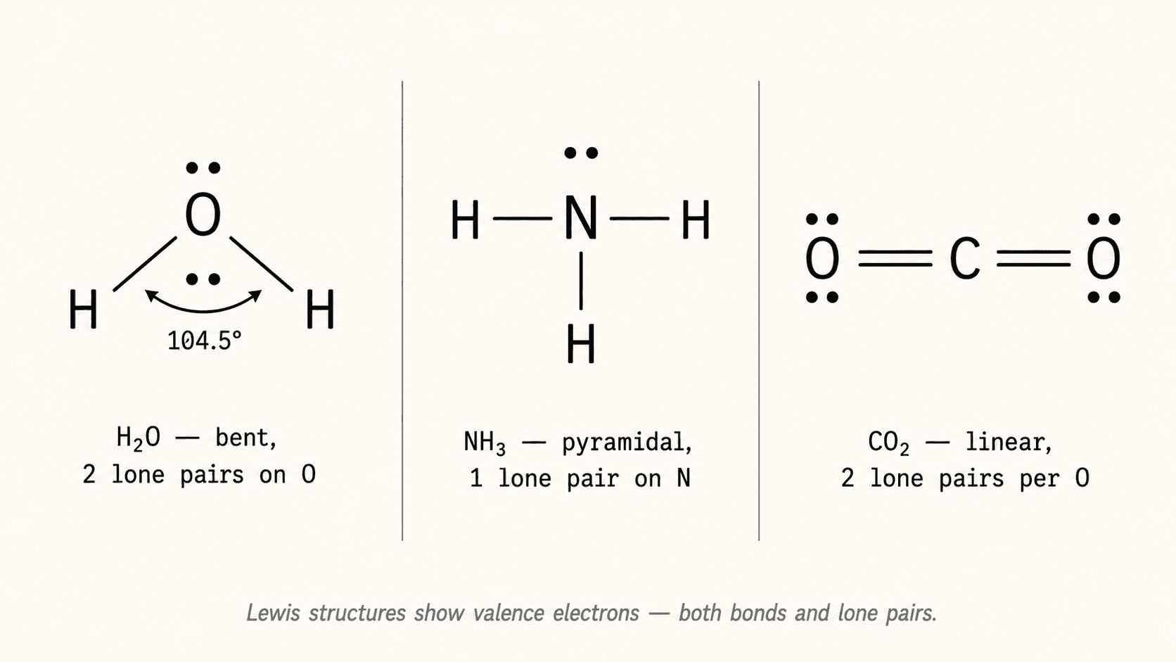 Lewis structure construction: H₂O, NH₃, CO₂