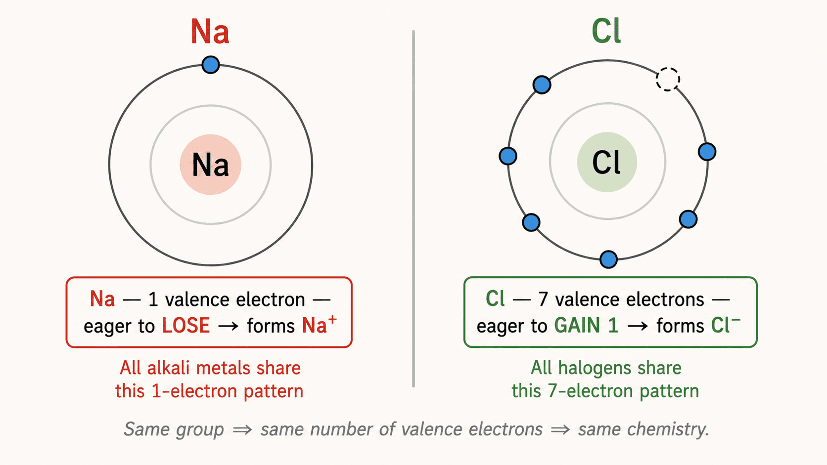 Outer shell diagram for alkali metals vs halogens