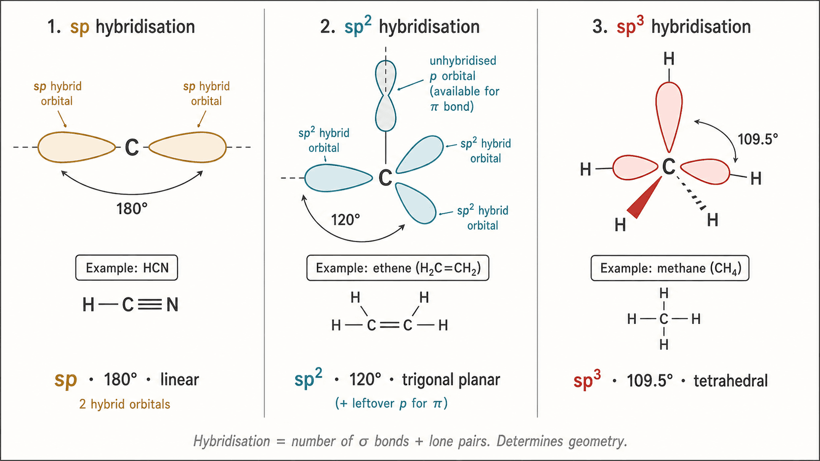 Hybridation sp, sp², sp³ : géométries et exemples