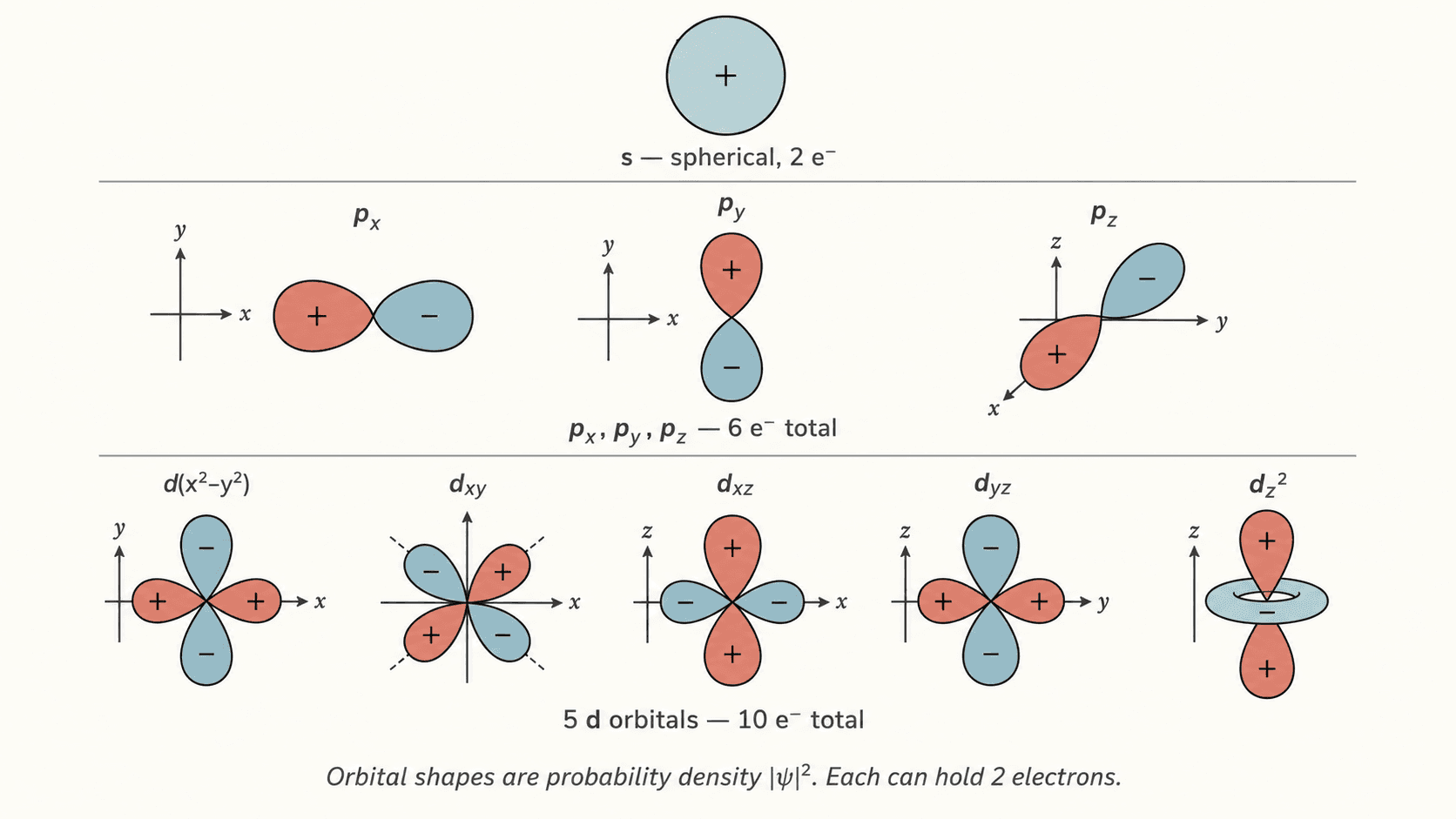 Representation of s, p, and d orbital shapes