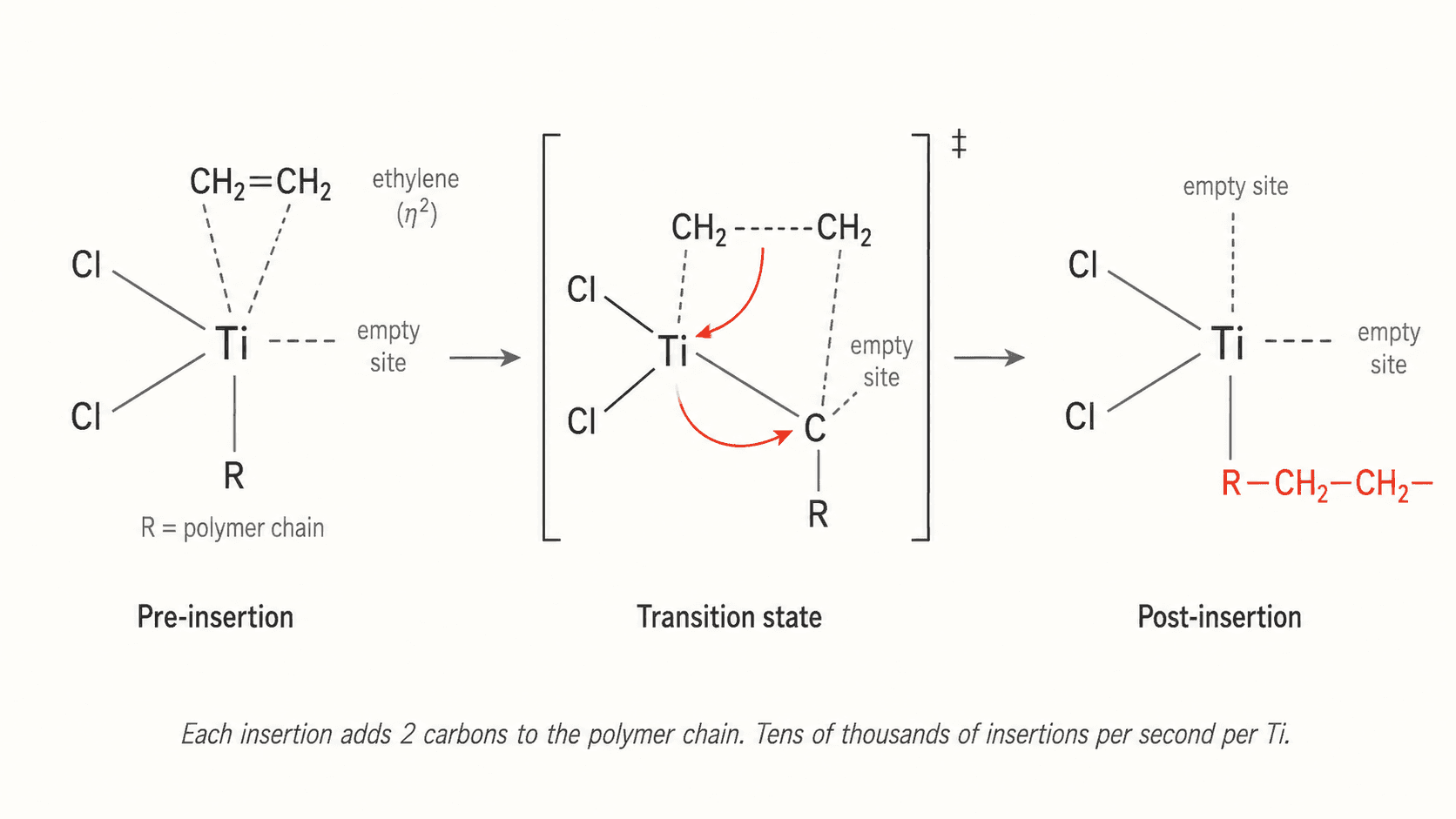 Mécanisme insertion-migration dans un catalyseur de Ziegler-Natta