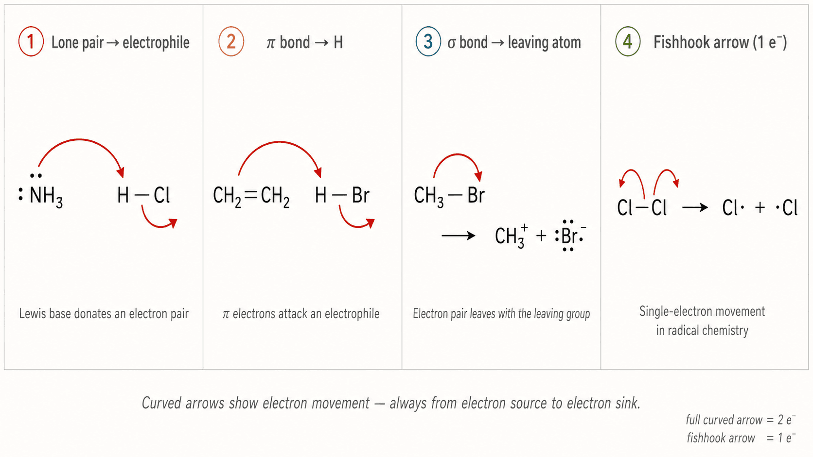 Examples of mechanistic curved arrows