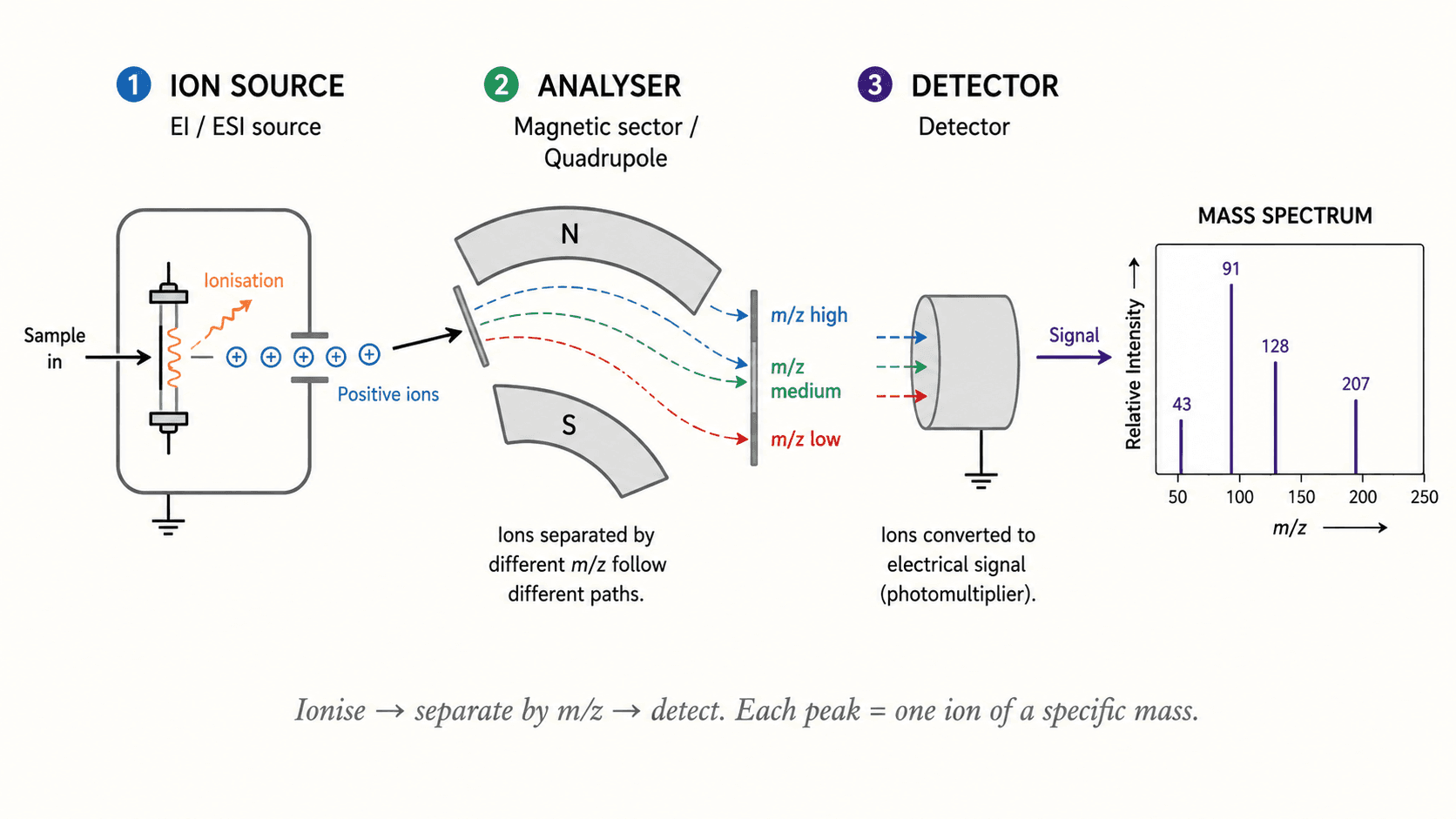 Mass spectrometer diagram: source, analyzer, detector