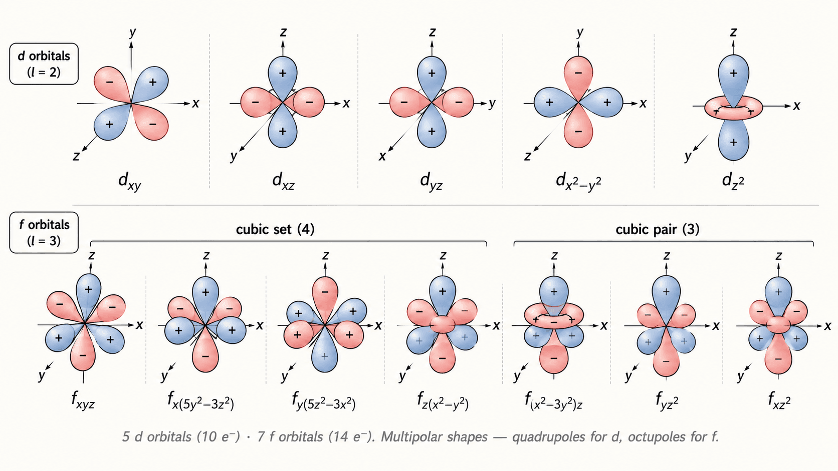 Schematic shapes of d and f orbitals
