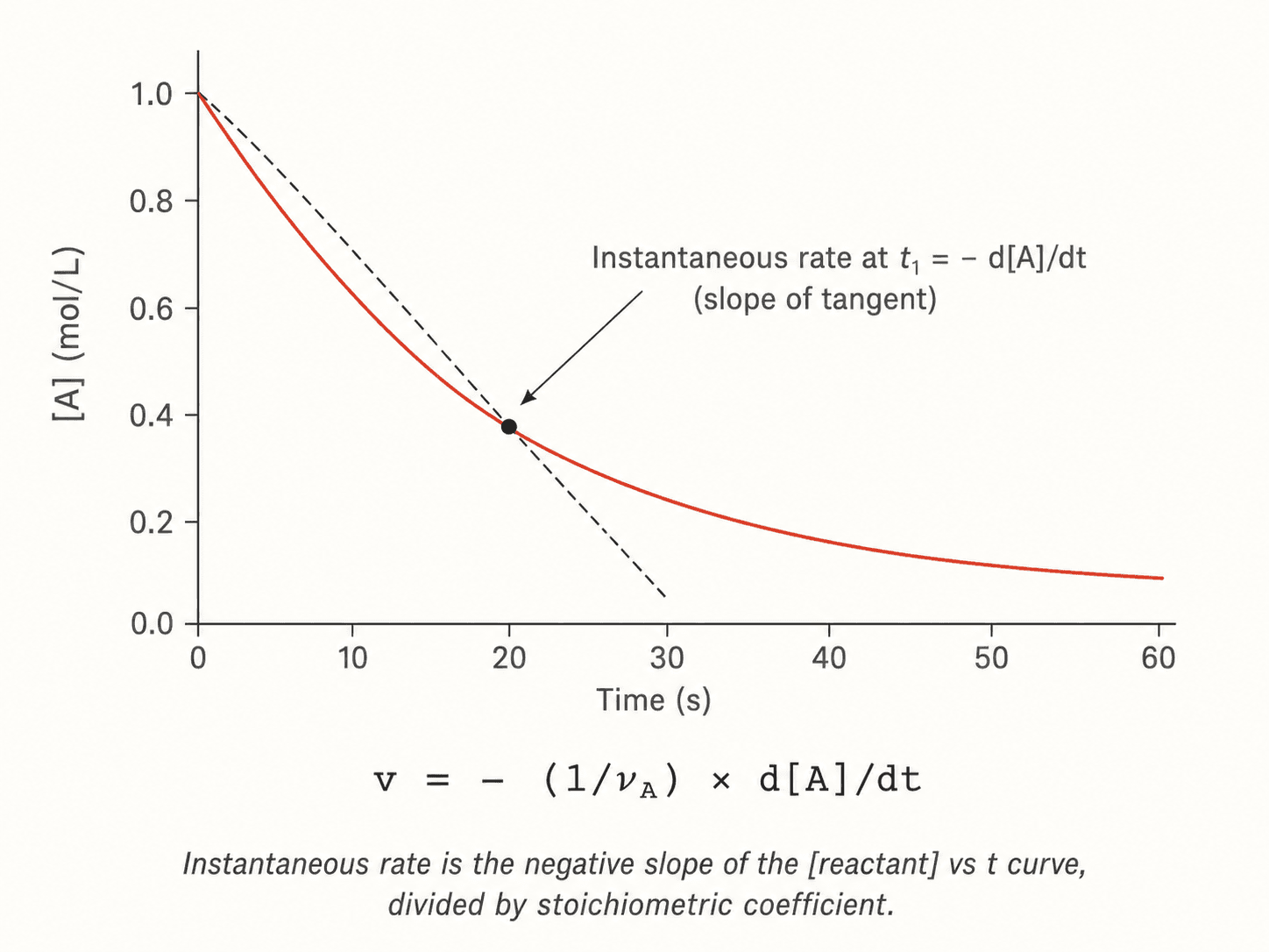 Concentration profiles and instantaneous rate