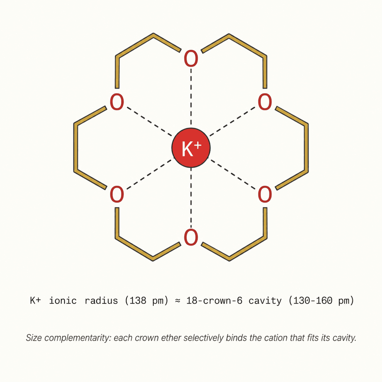 18-crown-6 complex with K⁺ ion — perspective view