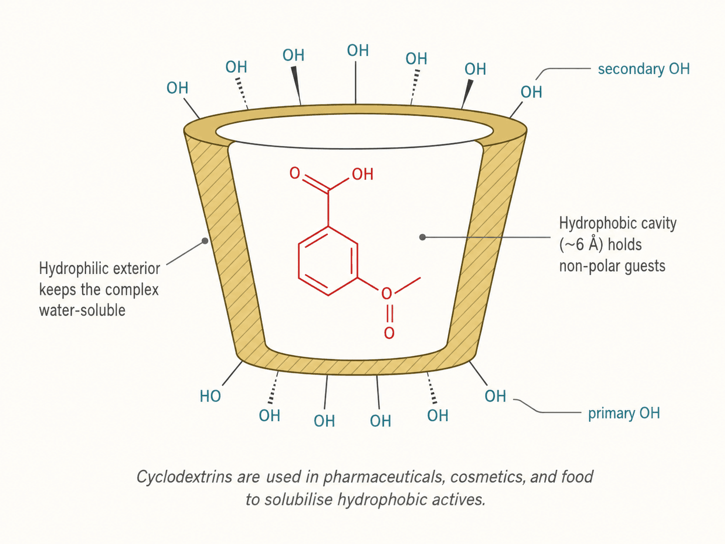 β-cyclodextrin encapsulating an organic molecule — cross-section